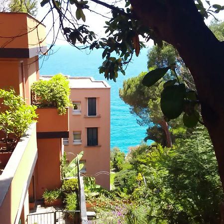 דירות ואראצה Casa Delle Mimose מראה חיצוני תמונה