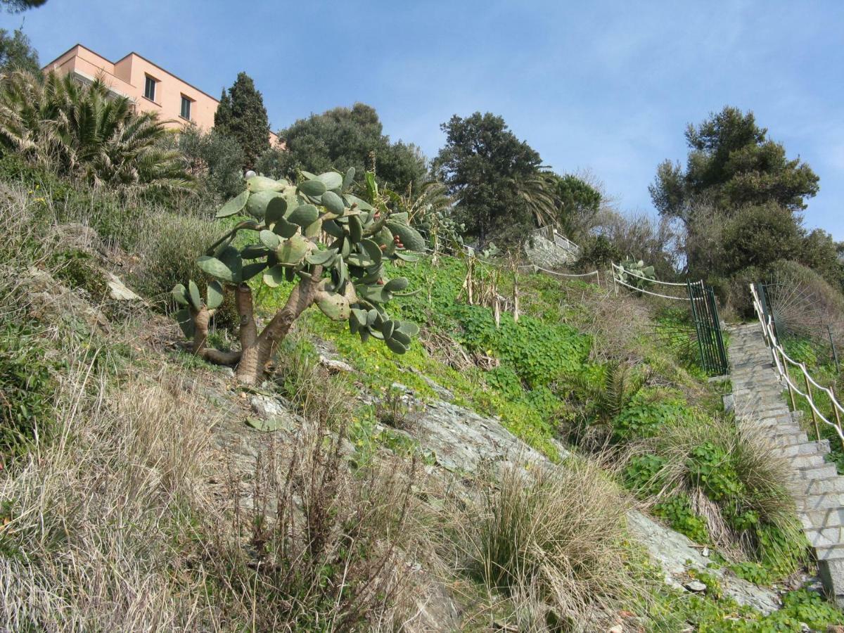 דירות ואראצה Casa Delle Mimose מראה חיצוני תמונה
